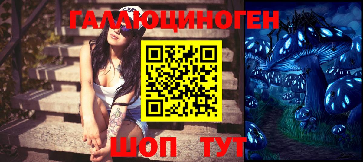 Менделеевск  Галлюциногенные грибы прущие грибы  Вход с VPN 